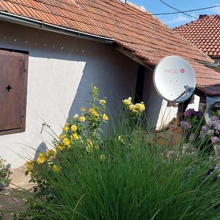 Apartman Nebojsa Rudnik Esterno foto