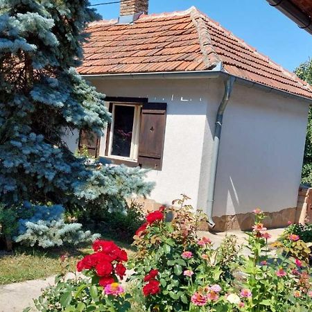 Apartman Nebojsa Rudnik Esterno foto