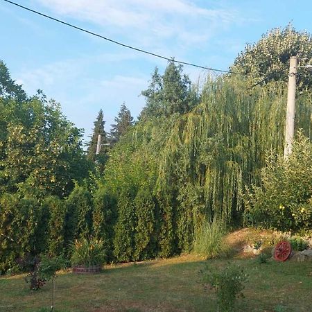 Apartman Nebojsa Rudnik Esterno foto