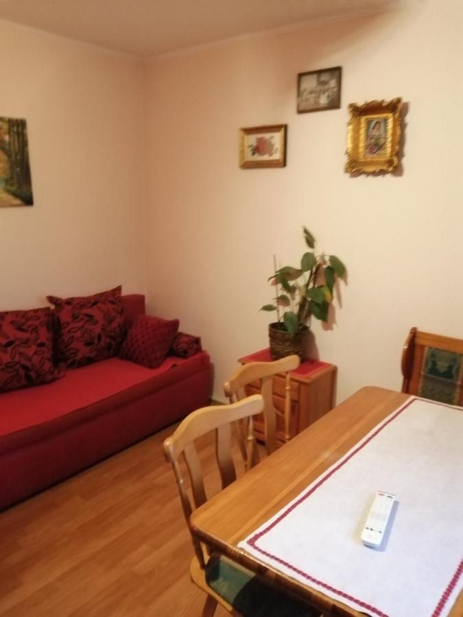 Apartman Nebojsa Rudnik Esterno foto