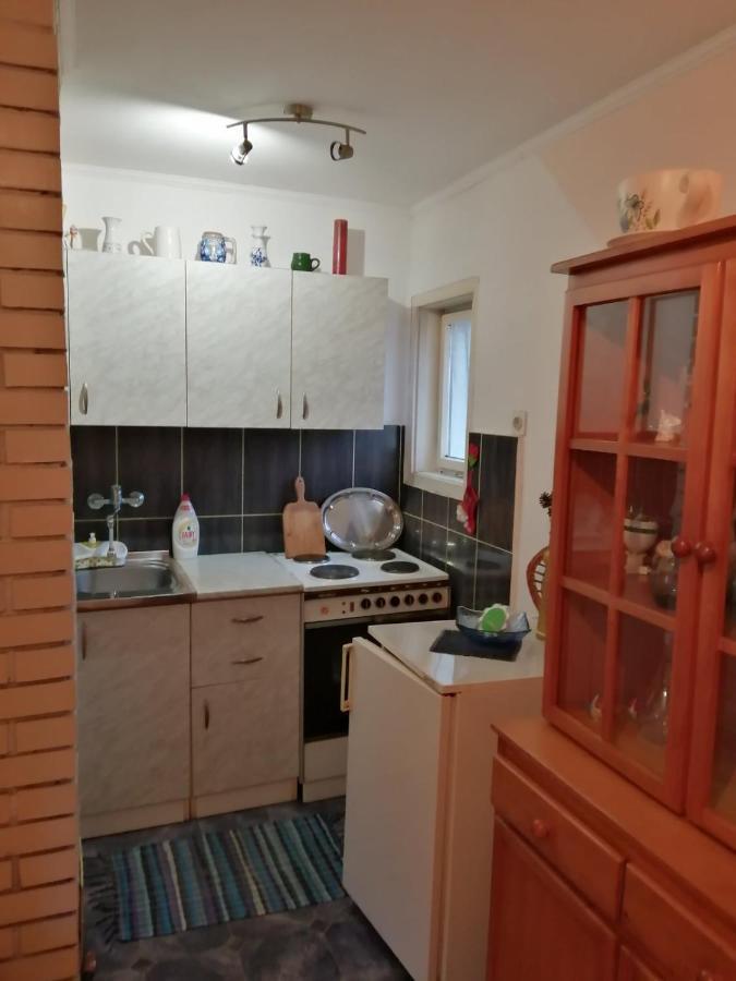 Apartman Nebojsa Rudnik Esterno foto