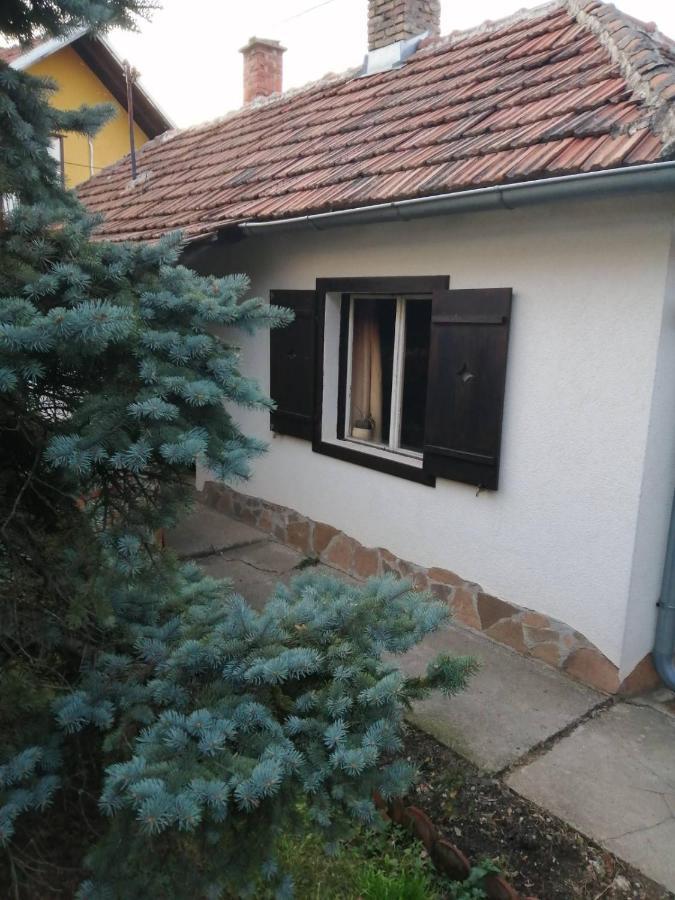 Apartman Nebojsa Rudnik Esterno foto