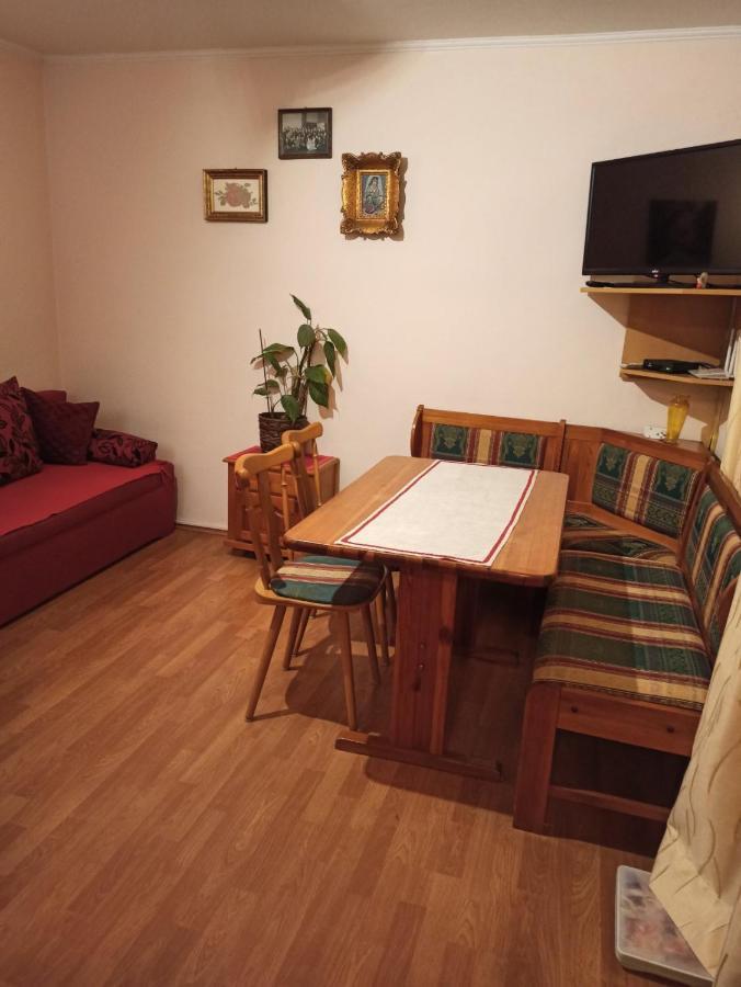 Apartman Nebojsa Rudnik Esterno foto