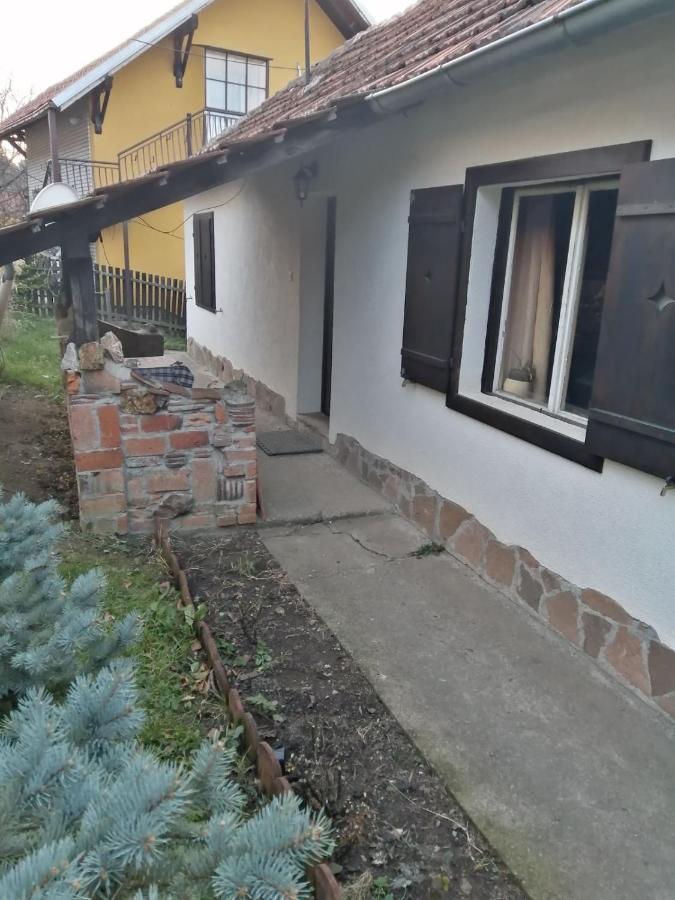 Apartman Nebojsa Rudnik Esterno foto