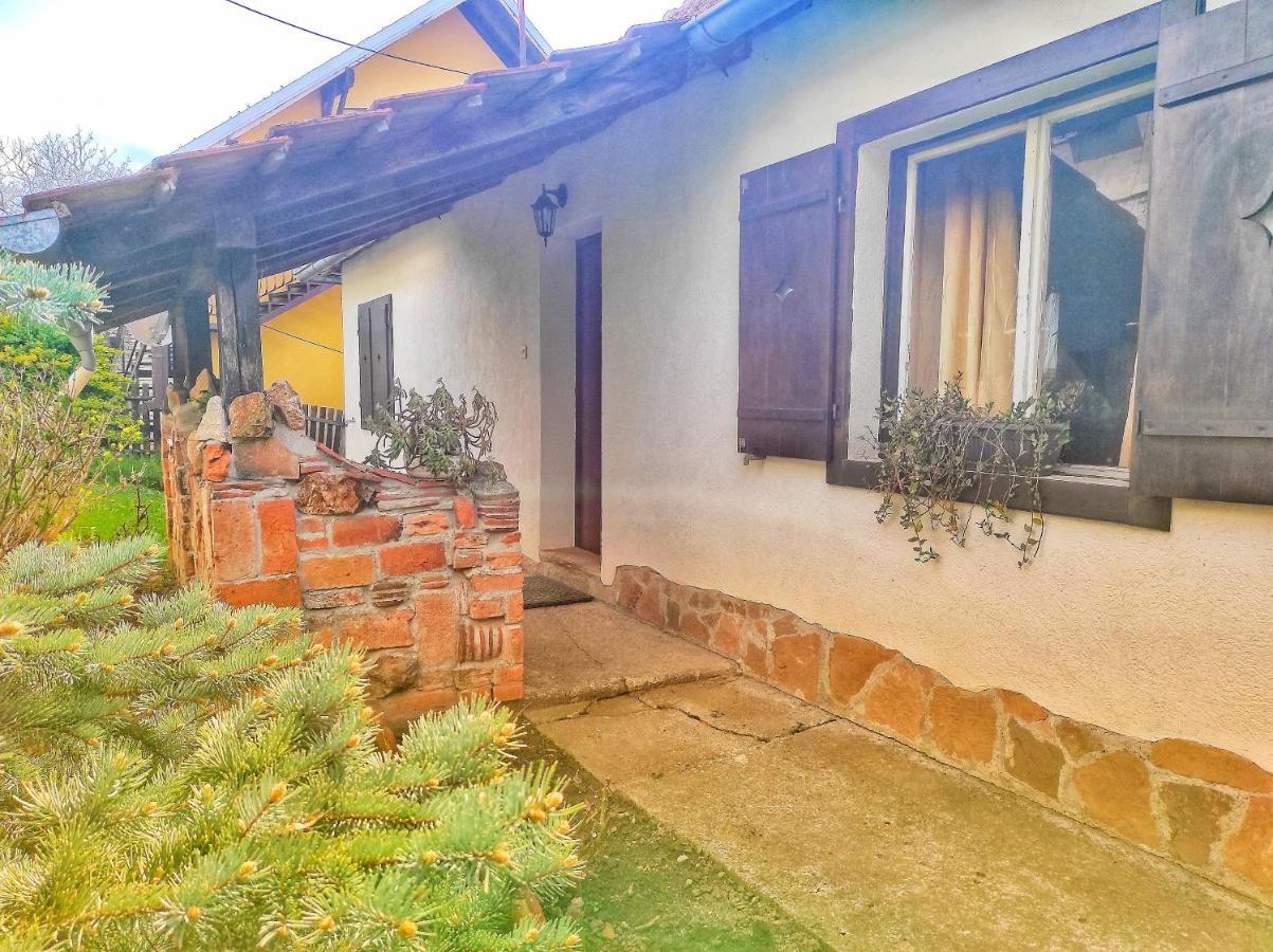 Apartman Nebojsa Rudnik Esterno foto