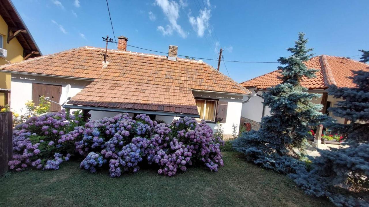 Apartman Nebojsa Rudnik Esterno foto