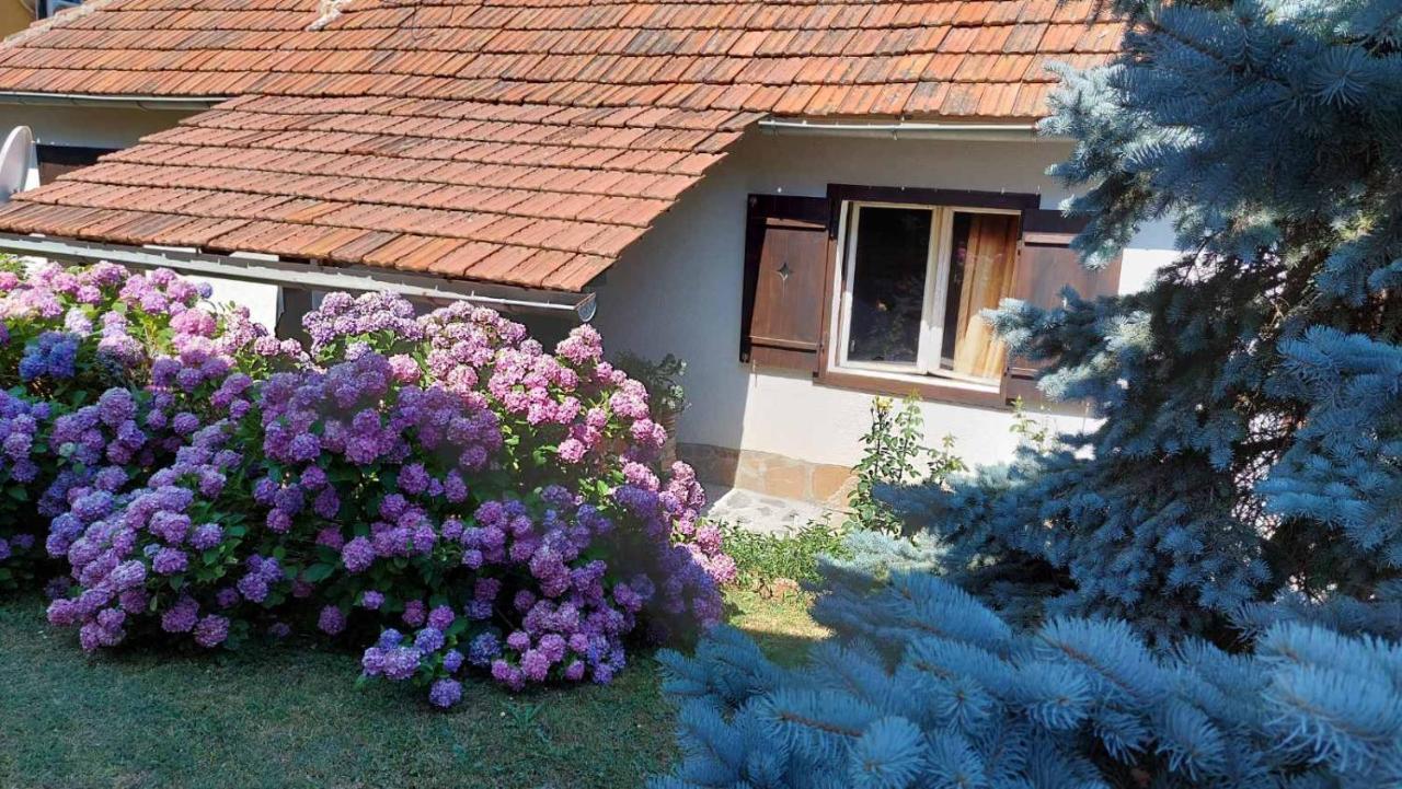 Apartman Nebojsa Rudnik Esterno foto