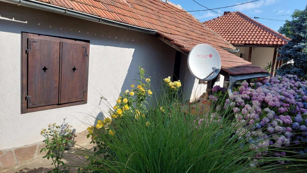 Apartman Nebojsa Rudnik Esterno foto