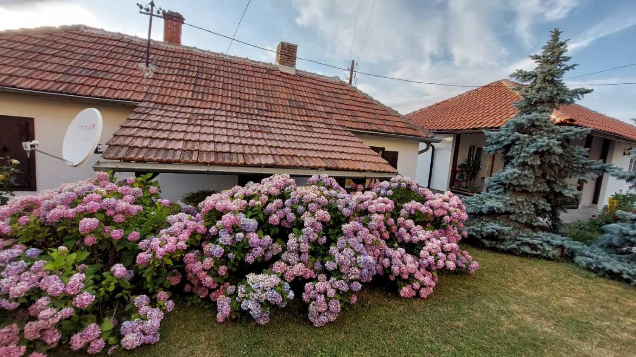 Apartman Nebojsa Rudnik Esterno foto
