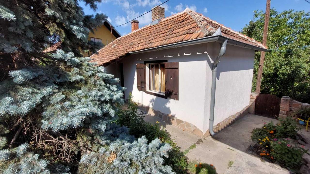 Apartman Nebojsa Rudnik Esterno foto