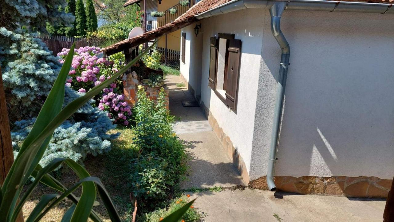 Apartman Nebojsa Rudnik Esterno foto