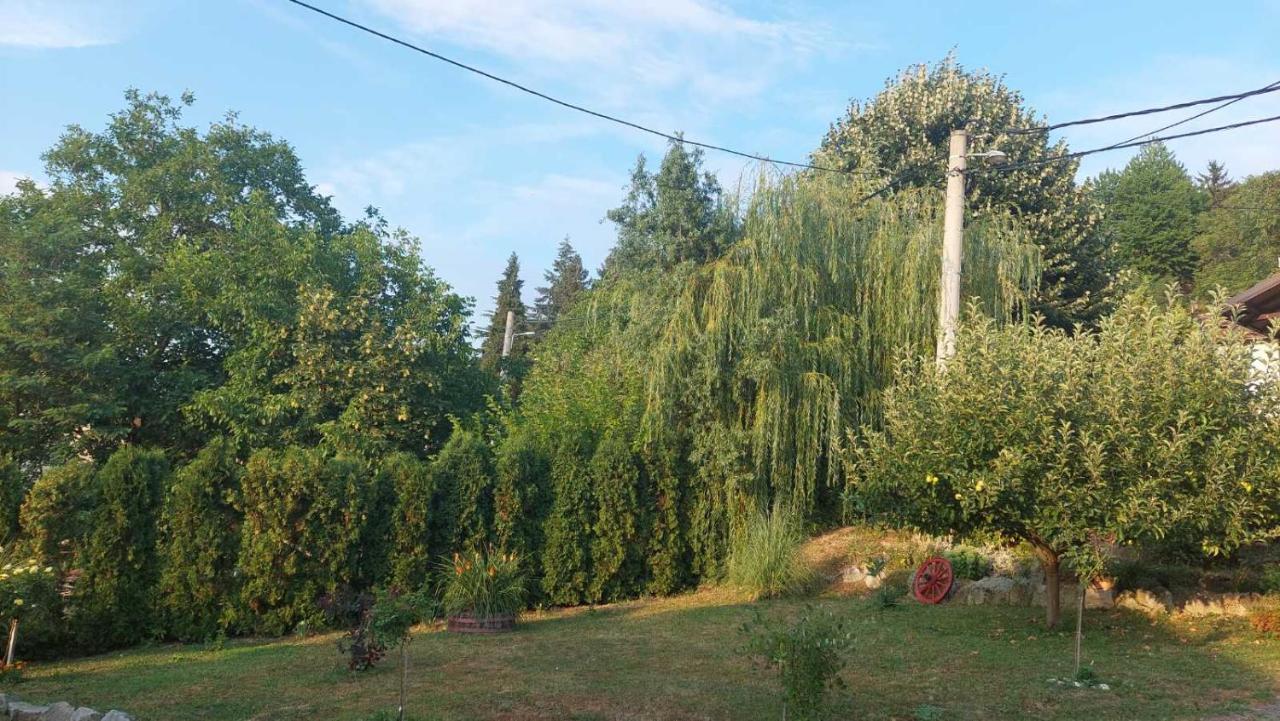 Apartman Nebojsa Rudnik Esterno foto