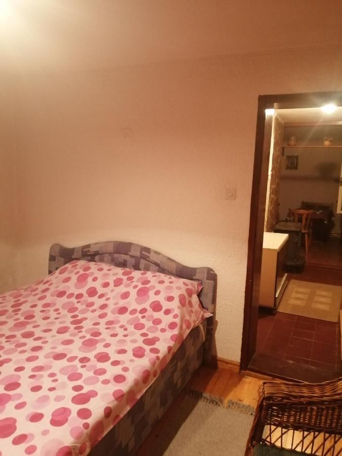Apartman Nebojsa Rudnik Esterno foto