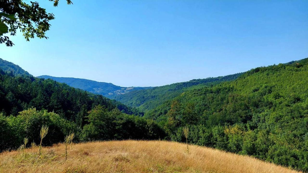 Apartman Nebojsa Rudnik Esterno foto