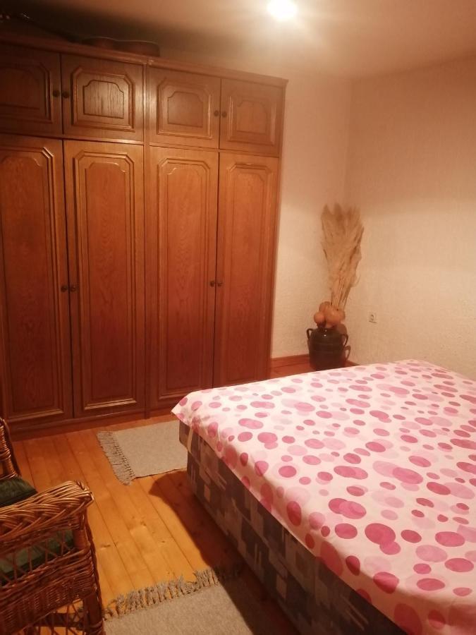 Apartman Nebojsa Rudnik Esterno foto